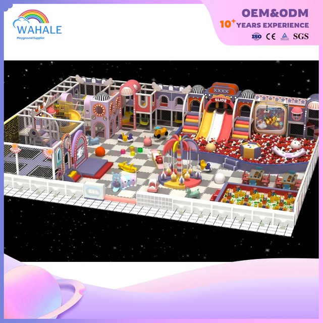 Children's Indoor Princess Castle Custom Playground Children's Purple Theme Amusement Park Equipment