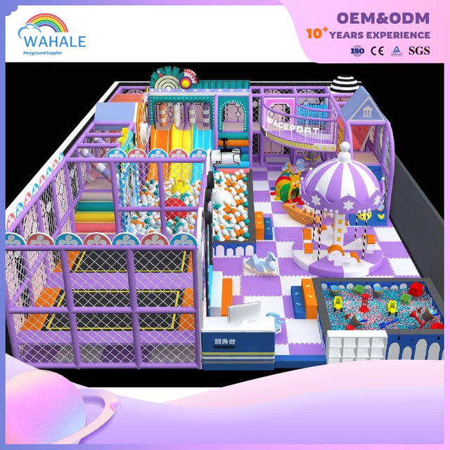 Early Education Center Indoor Purple Dreamland Children Customized Amusement Park Equipment