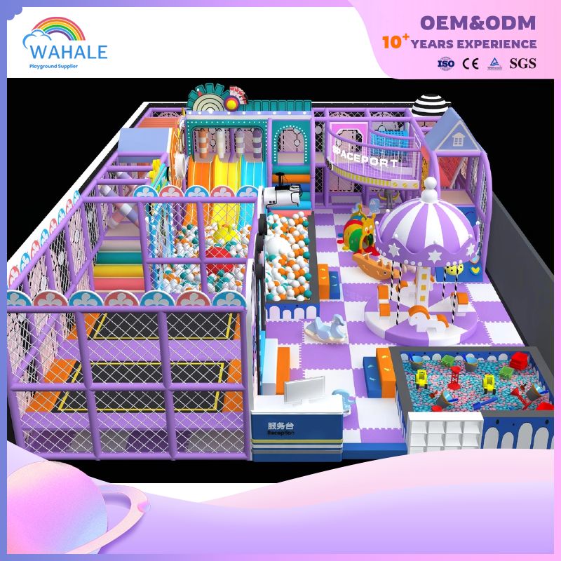 Early Education Center Indoor Purple Dreamland Children Customized Amusement Park Equipment