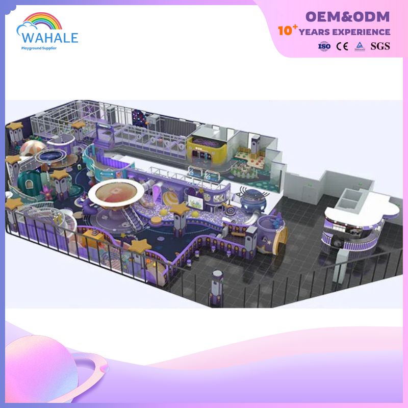 Early Education Center Indoor Custom Purple Castle Theme Playground Equipment Wholesale