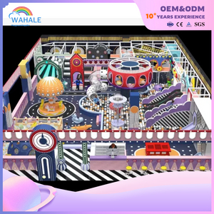 Kindergarten Indoor Cartoon Purple Fantasy Children Soft Sports Playground Equipment Wholesale