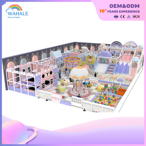 Sales Center Outdoor Pink Purple Children's Cartoon Soft Installation Playground Equipment Dealer