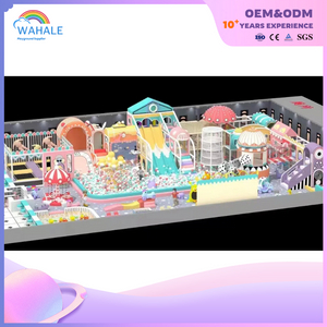 Early Education Center Indoor Cartoon Fantasy Castle Theme Customized Soft Children's Playground Equipment