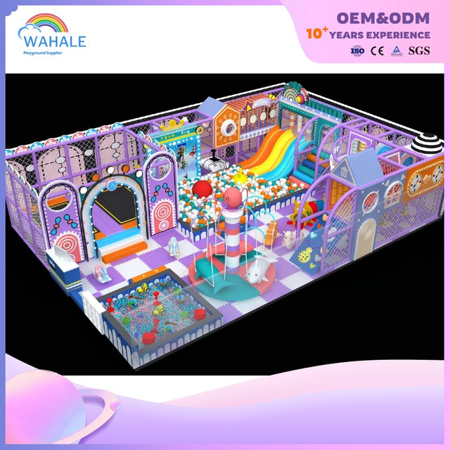 Purple Theme Children's Castle Park Custom Indoor Playground Equipment Wholesale