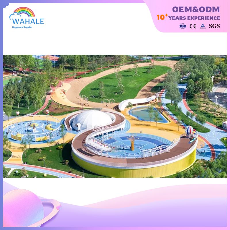 Cartoon Theme Customized Children's Outdoor Physical Training Playground Equipment Builder