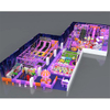 Purple Sports Arena Playground (India) -Commercial Entertainment Center Manufacturer