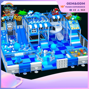 Happy Ocean Main Theme Indoor Playground Equipment Customized Ocean Park Children's Playground Wholesale