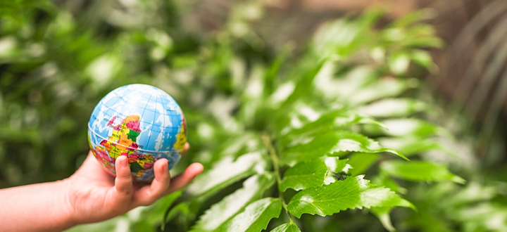 Our-Commitment-to-Sustainability