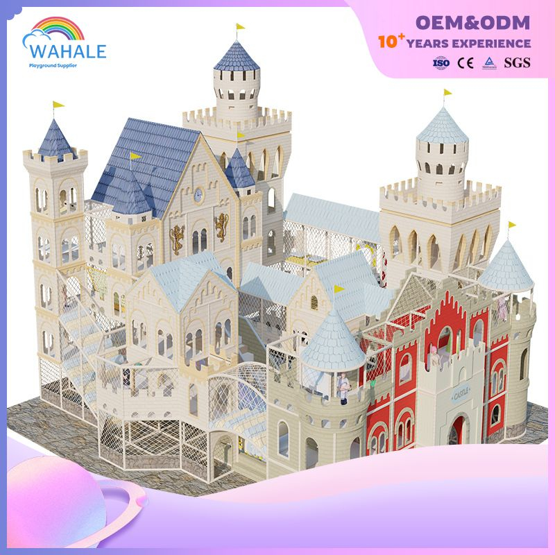 Castle Shape Custom Children's Indoor Maze Playground Equipment Supplier