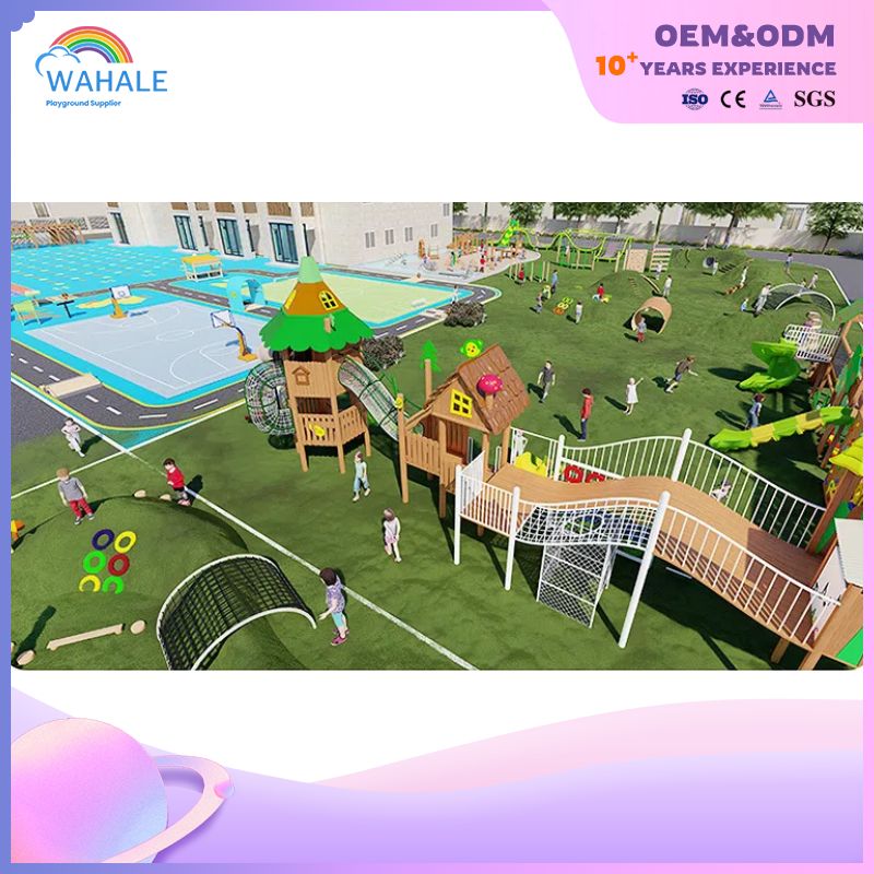 Frog Prince Theme Customized Children's Outdoor Playground Equipment Suppliers