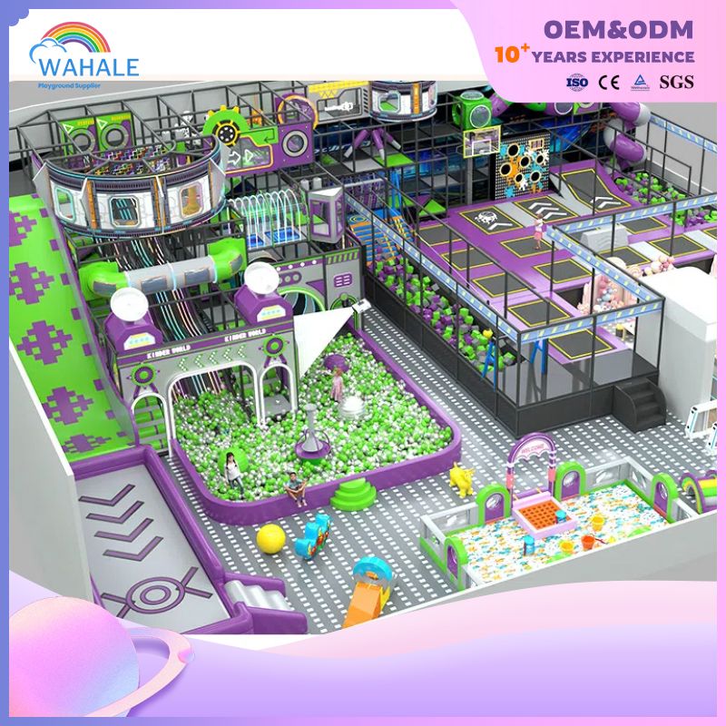 Purple Green Theme Customized Children's Physical Training Playground Indoor Trampoline Park