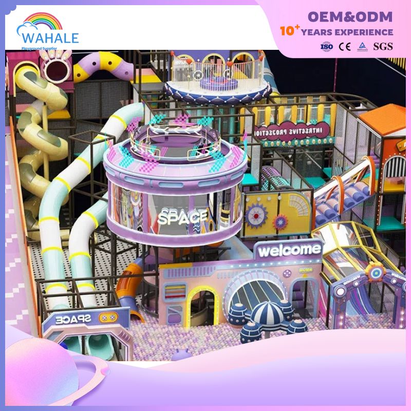 Purple Castle Theme Customized Children's Indoor Playground Cartoon Children's Amusement Park Equipment