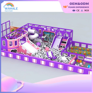 Purple Children's Amusement Park Custom Indoor Fantasy Playground Equipment Supplier