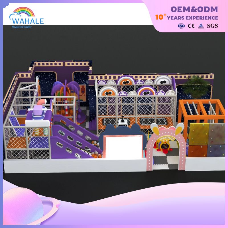 Mall Indoor Children's Purple Playground Customized Indoor Parent-child Interactive Amusement Park Equipment