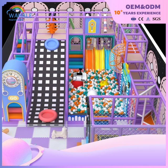 Purple Theme Children's Castle Park Custom Indoor Playground Equipment Wholesale