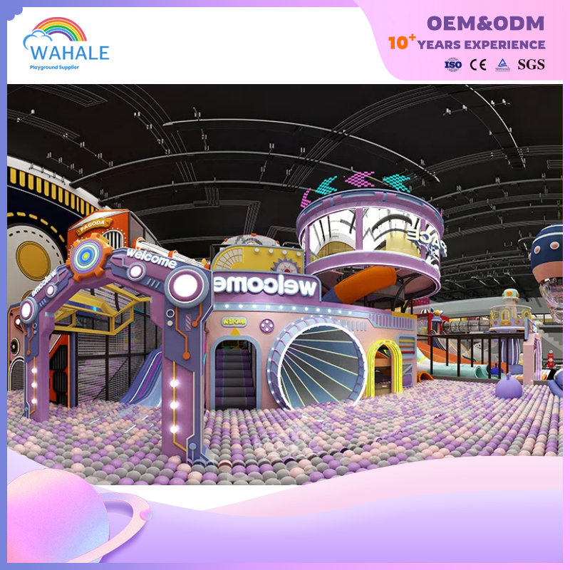 Mall Indoor Purple Video Game Theme Customized Children's Soft Sports Playground Equipment Dealer