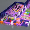 Purple Sports Arena Playground (India) -Commercial Entertainment Center Manufacturer