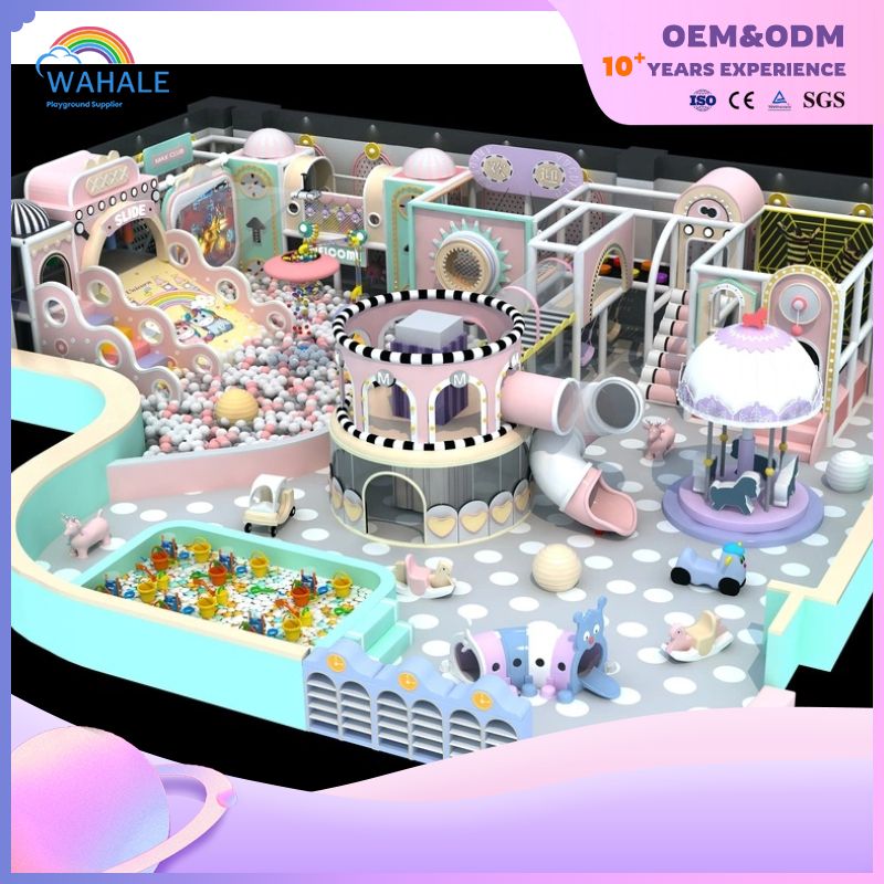 Commercial indoor purple cartoon theme playground custom dream children's amusement park equipment