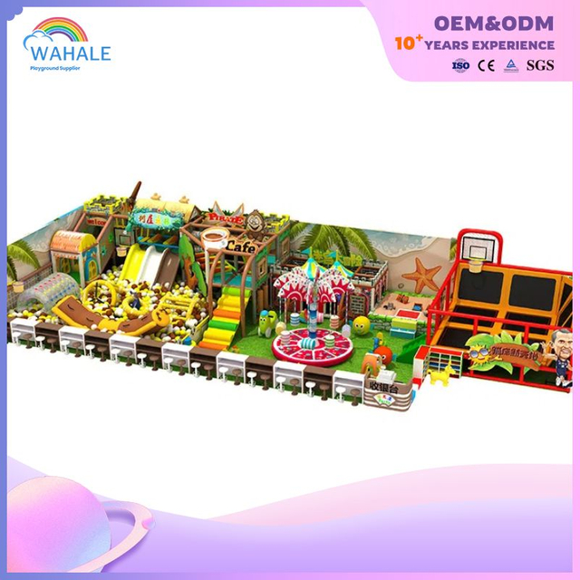 Plant Park Theme Customized Indoor Soft Sports Children Playground Equipment Suppliers