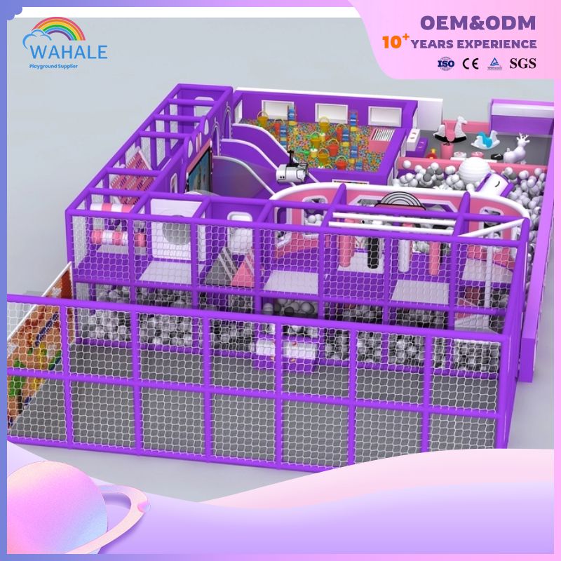Purple Children's Amusement Park Custom Indoor Fantasy Playground Equipment Supplier