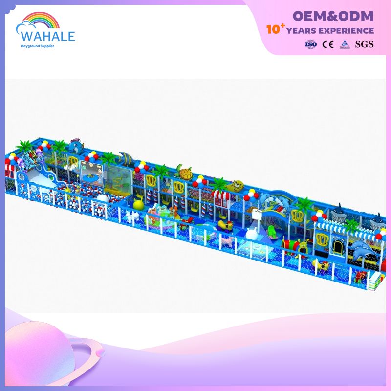 Undersea World Theme City Children's Castle Park Amusement Equipment Customization