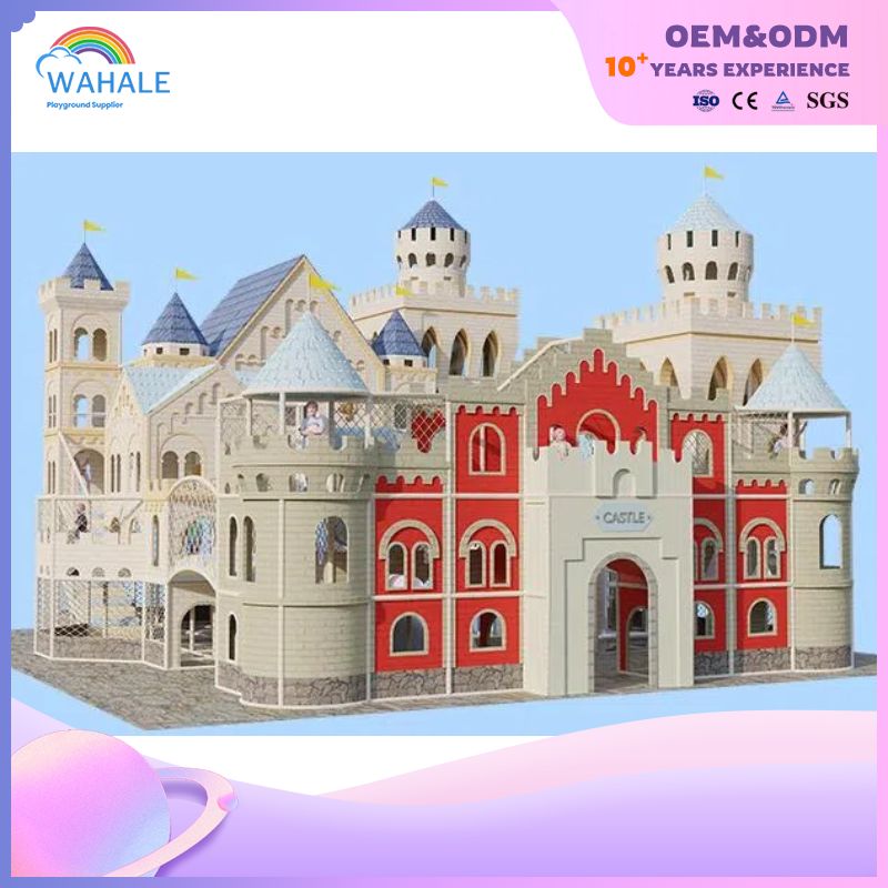 Castle Shape Custom Children's Indoor Maze Playground Equipment Supplier