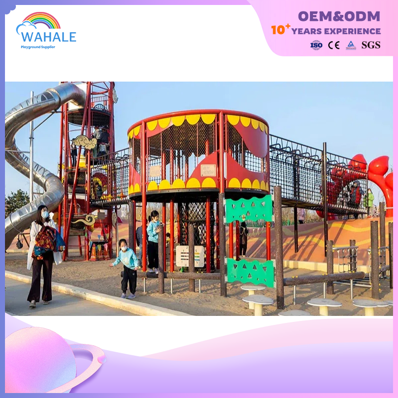 Scenic Spot Outdoor Lion Dance Modeling Custom Children's Unpowered Playground Equipment Builder