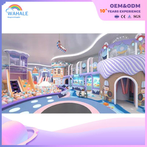 Marine Theme Customized Children's Indoor Purple Soft Playground Equipment for Sale