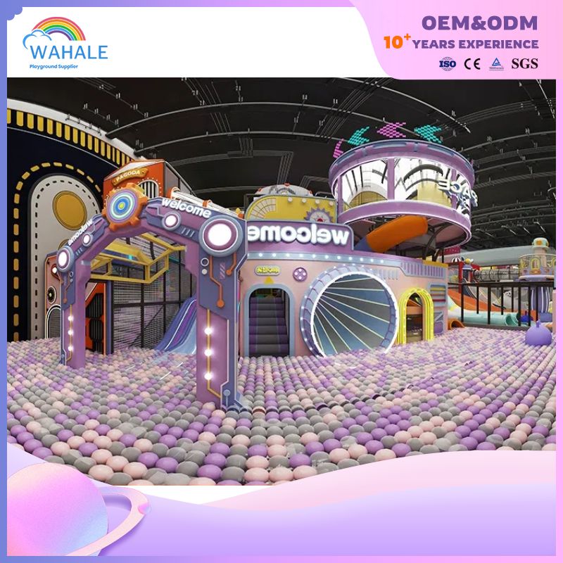 Purple Castle Theme Customized Children's Indoor Playground Cartoon Children's Amusement Park Equipment