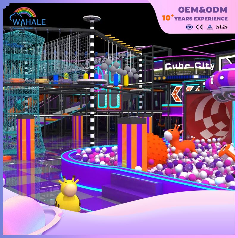 Happy Neon Castle Theme Indoor Playground Equipment Gorgeous Fantasy Theme Park Equipment Customization