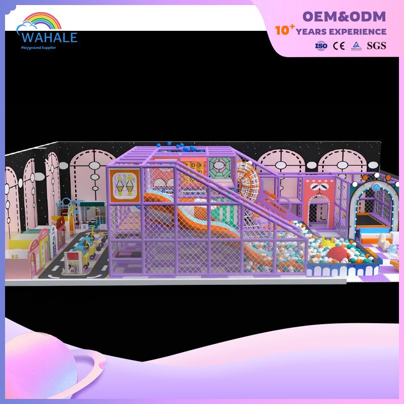 Purple Dream Series Theme Customized Children's Playground Indoor Amusement Equipment Suppliers