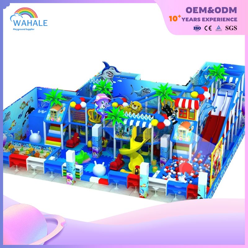 Royal Ocean Park Theme Indoor Children's Playground Equipment Customization