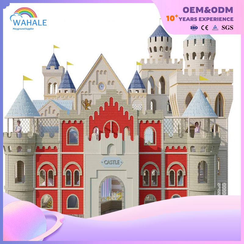 Castle Shape Custom Children's Indoor Maze Playground Equipment Supplier