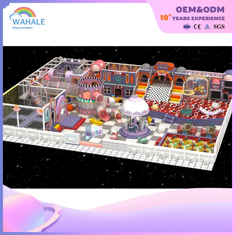 Children's Indoor Princess Castle Custom Playground Children's Purple Theme Amusement Park Equipment