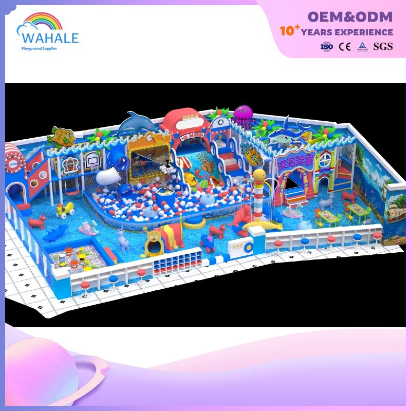 Royal Ocean Park Custom Children's Indoor Playground Equipment Wholesale