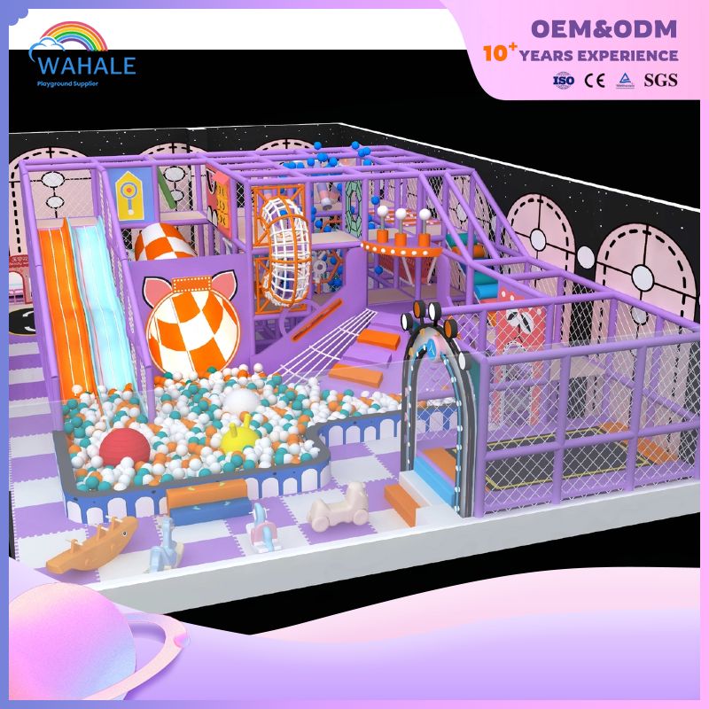 Purple Dream Series Theme Customized Children's Playground Indoor Amusement Equipment Suppliers