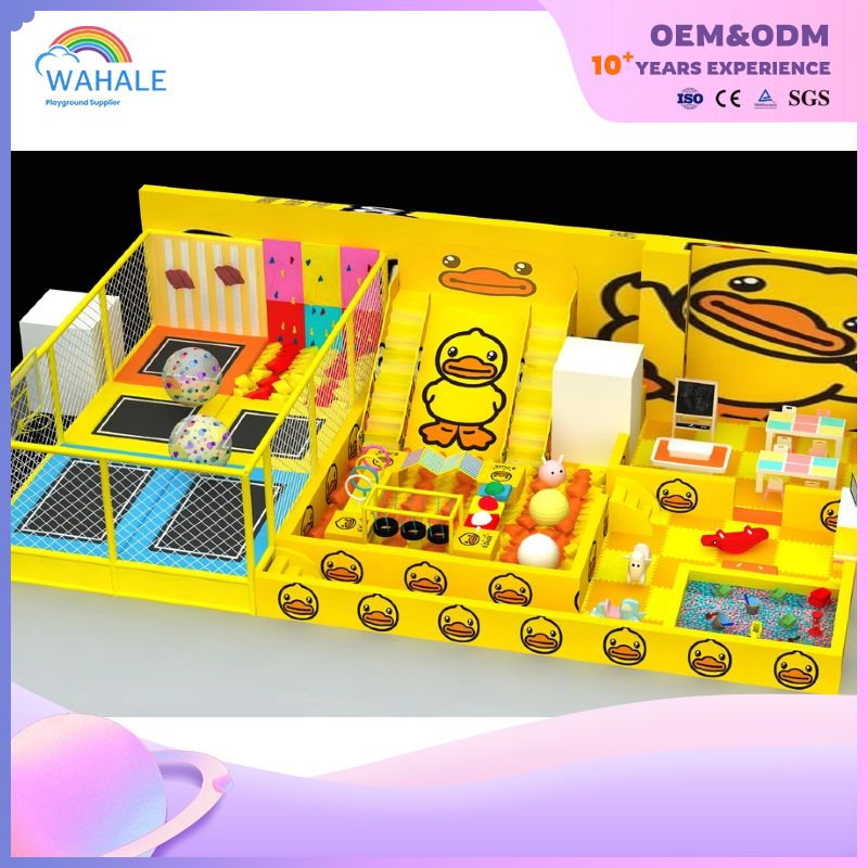 The Little Yellow Duck Theme Children's Amusement Park Is Sold Using Indoor Playground Equipment