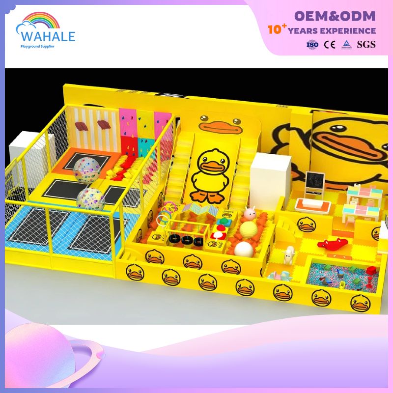 The Little Yellow Duck Theme Children's Amusement Park Is Sold Using Indoor Playground Equipment