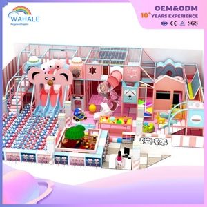 Pink Is An Indoor Cartoon Theme Customized Children's Castle Playground Equipment Supplier