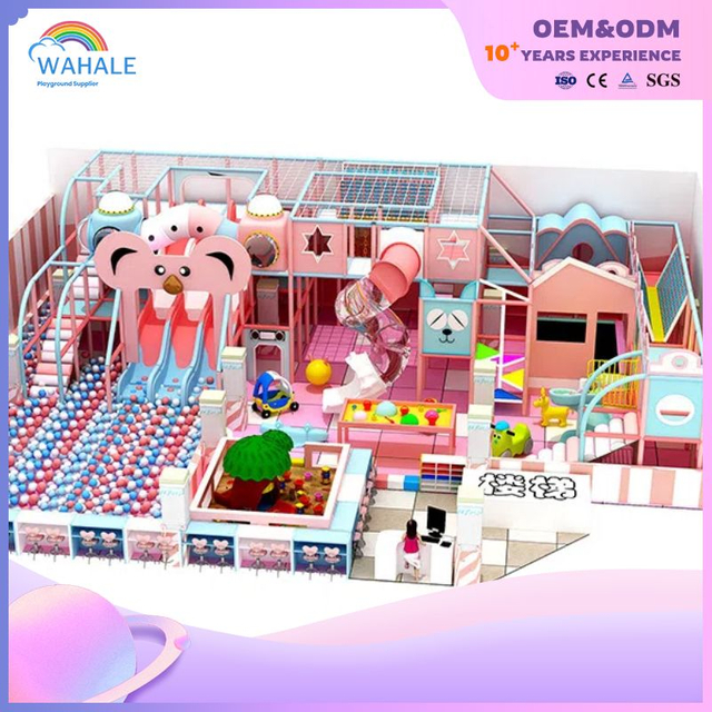 Pink Is An Indoor Cartoon Theme Customized Children's Castle Playground Equipment Supplier