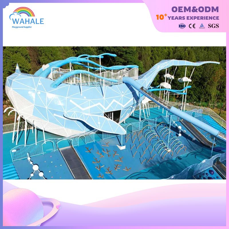 Scenic Spot Outdoor Whale Shape Playground Customized Children's Physical Exercise Playground Equipment