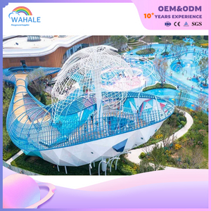 Scenic Spot Outdoor Whale Shape Playground Customized Children's Physical Exercise Playground Equipment