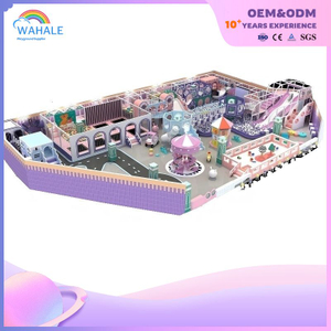 Early Education Center Indoor Custom Purple Castle Theme Playground Equipment Wholesale